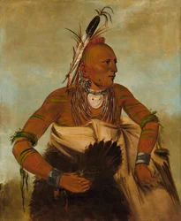 Wa-ho-béck-ee, en stilig modig, 1834.