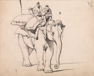 En elefant