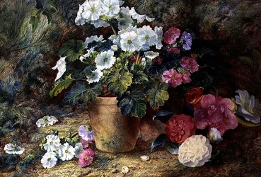 Ett stilleben av pelargonier i en kruka med kamelia