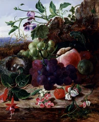 Stilleben med frukt, fuschia och fågelbo. Målning av George Clare (1835-1899) Privat samling.