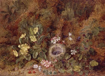 Stilleben med fågelbo och vilda blommor