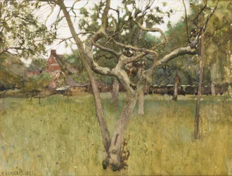 En fruktträdgård
