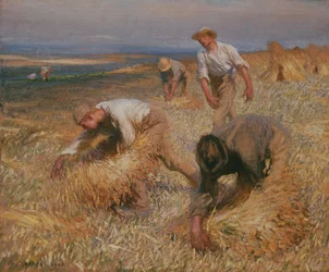 Bindande kärvar