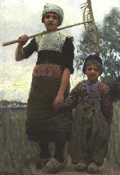 Little Haymakers, North Holland