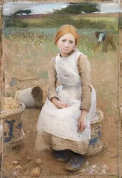 Lilla Rose