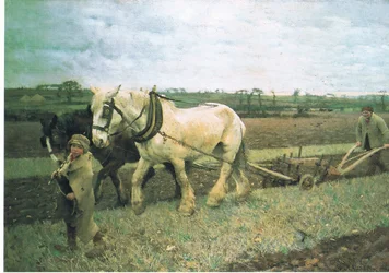 Plöjning