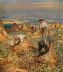 Binda kärvarna, 1902, 1923