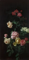 Rosor