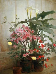 Side of a Greenhouse, 1870-80.