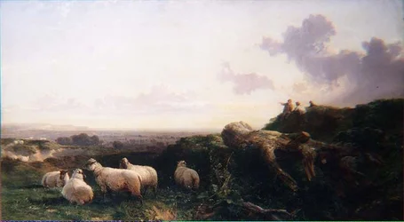 Kväll på South Downs