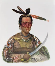 To-Ka-Cou, a Yankton Sioux Chief, 1837, ata mai le 