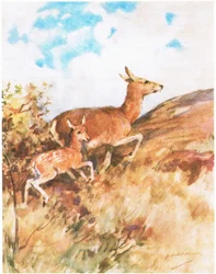 Tawny vände sig om och flydde och uppmanade Rusty att följa henne (färg litho)