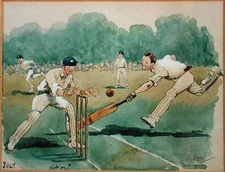 Juli månad: Cricket (penna & bläck och akvarell på papper)