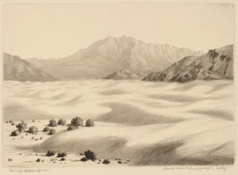 Sanddyner nära Palm Springs, Kalifornien (nr 2)