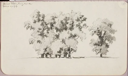 Elms--Eton, England