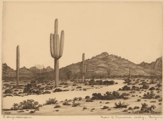 Vägen till Paradise Valley, Arizona
