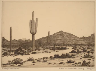 Vägen till Paradise Valley, Arizona