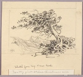 Skiss till julkort (Windswept Pine [nr 1])
