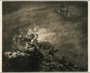Storm nära Timberline