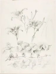Utan titel (liljor och murgröna) (Glecoma Hederacea)