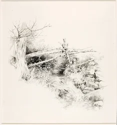 Utan titel (Woodland Stream)