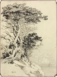 Utan titel (teckning för tryck)