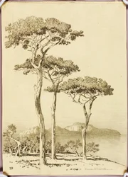 Utan titel (överföringsteckning för Capri från Sorrento)