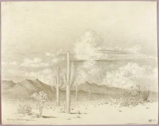 Utan titel (överföringsteckning till Kväll, Paradise Valley, Arizona)