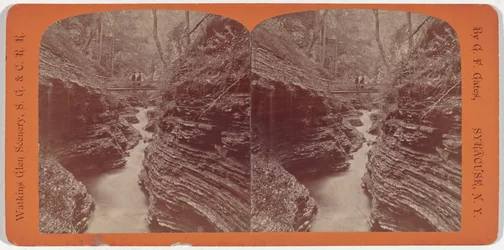Landskap vid Watkins Glen, Skuggravin, ca 1860