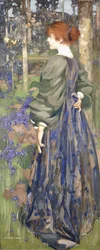 I Bluebell Wood