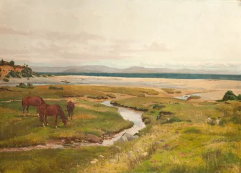 Strandscen med hästar