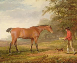 En brun häst som närmas av en stalldräng med foder och grimma, 1789