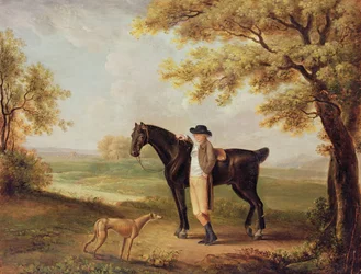 Häst, ryttare och whippet