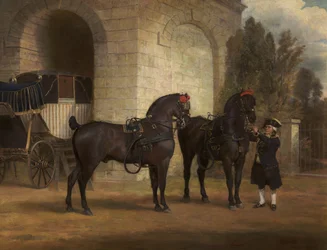 Två svarta vagnshästar med en kusk, 1791