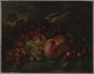 Persikor, vindruvor och körsbär, ca 1860-70 (olja på duk)
