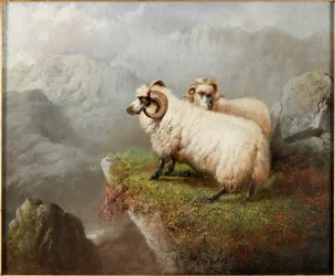 Får på en klippkant, ca 1865-68