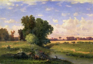 Hackensack Meadows, solnedgång, 1859