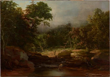 Bäck i bergen