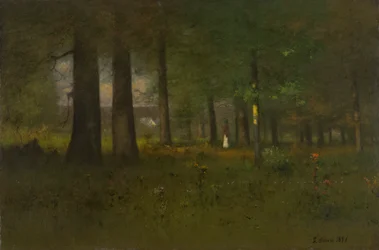 Skogens kant