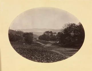 En väg i Williamstown, ca. 1870.