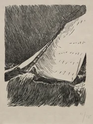 Second Thoughts, 1866.