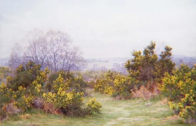 A Surrey Common (akvarell)