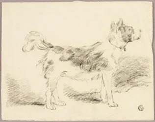 Herdehund