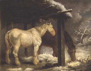 Shire Horses vid ett halmtak i ett stormigt vinterlandskap