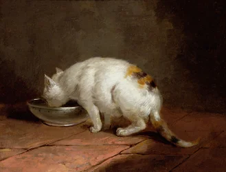 Konstnärens katt som dricker