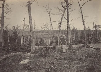 Battle Ground of Resacca, Georgia nr 3, 1860-talet.