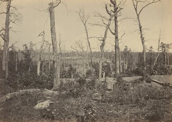 Slagfältet vid Resaca, Georgia, nr 3,1864 (foto)