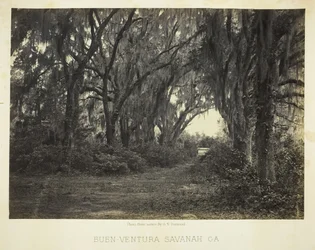 Bon-Ventura Savannah, Ga., 1866.