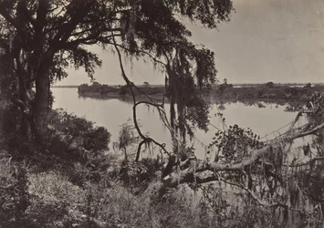 Savannah River, nära Savannah, Georgia, 1860-talet.