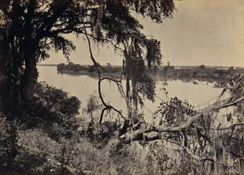 [Savannahfloden, nära Savannah, Georgia]